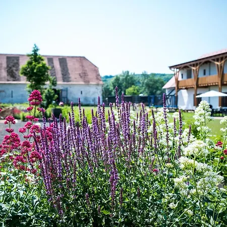 Dvůr Perlová Voda Hotel Budyne nad Ohri